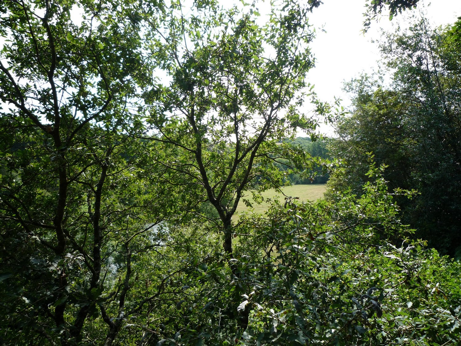 Rocher du Manis, paysage