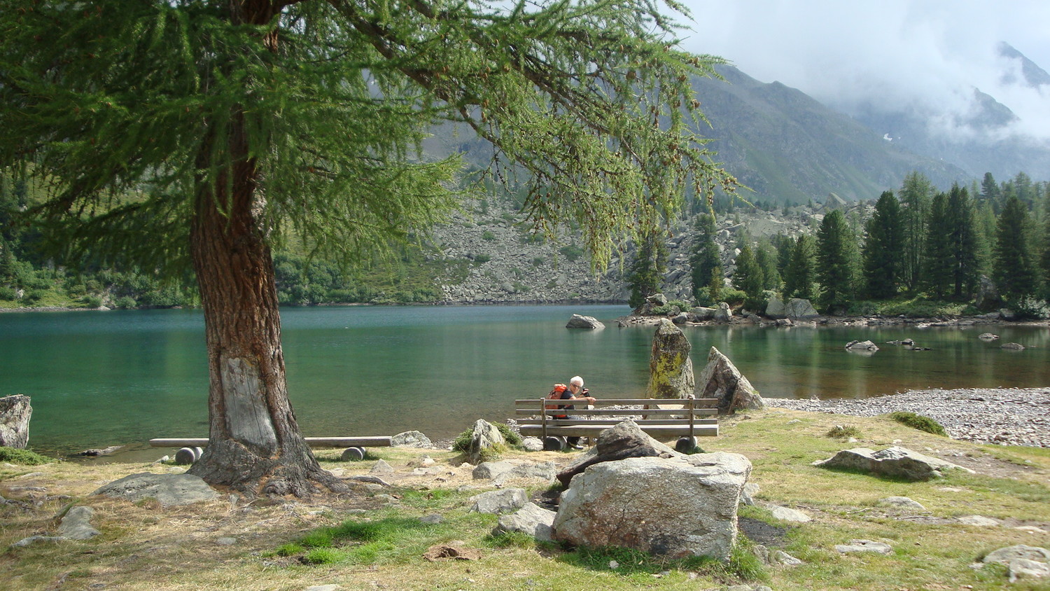 Lac Viola