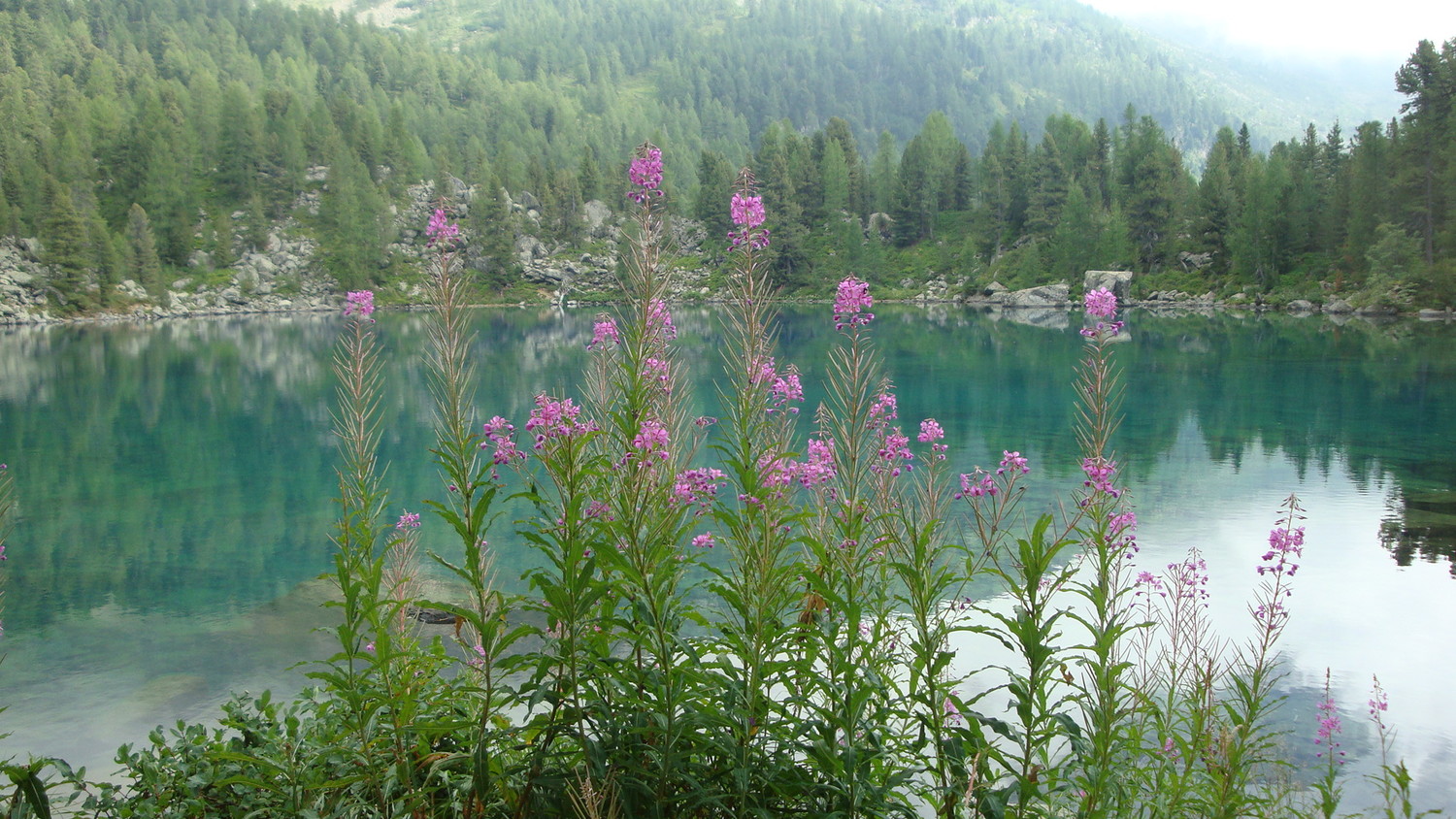 Lac de Saoseo