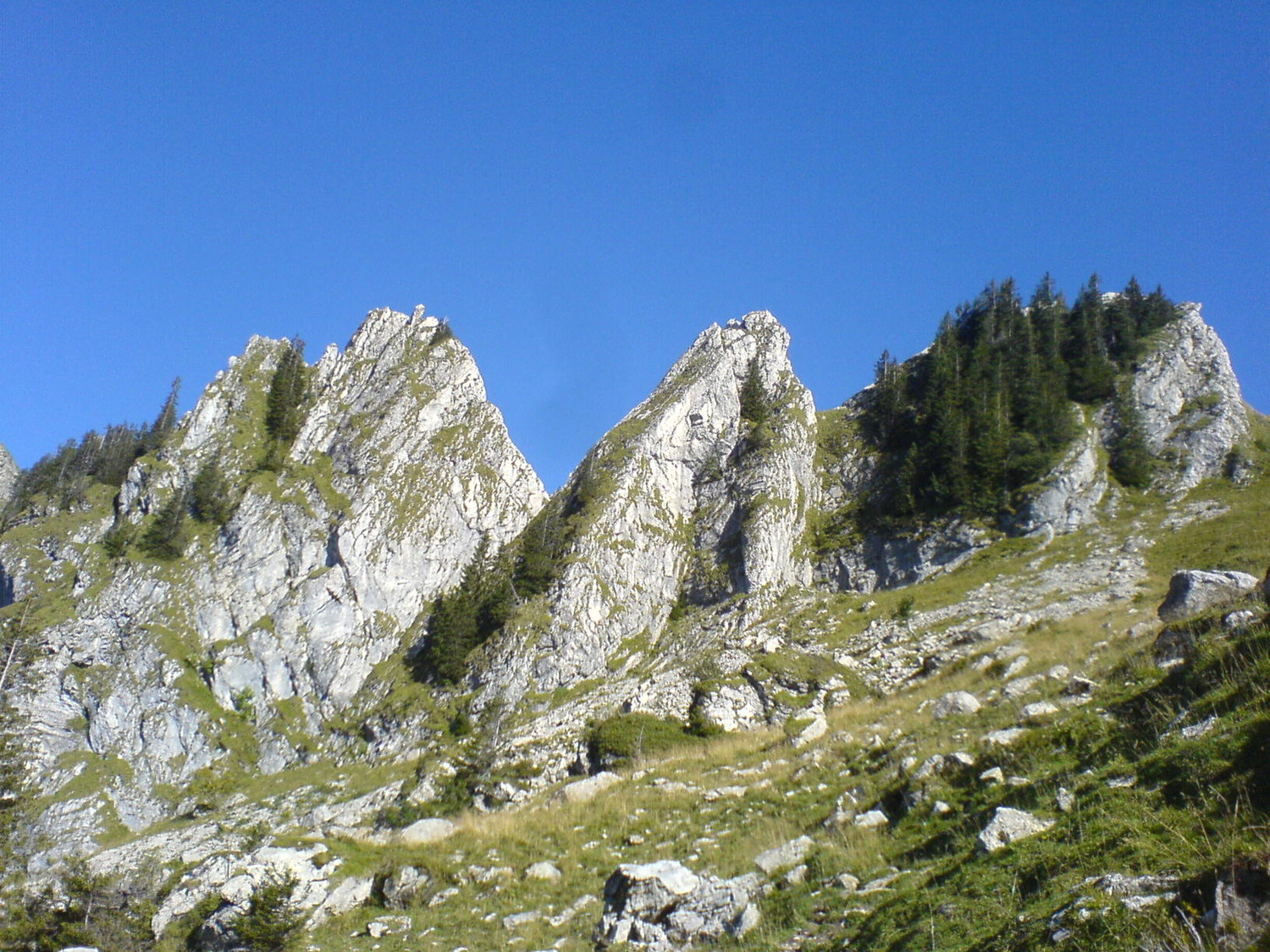 arrete des gais alpins