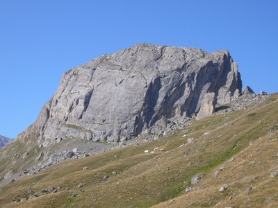 Roche Robert Roche Robert