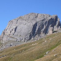 Roche Robert