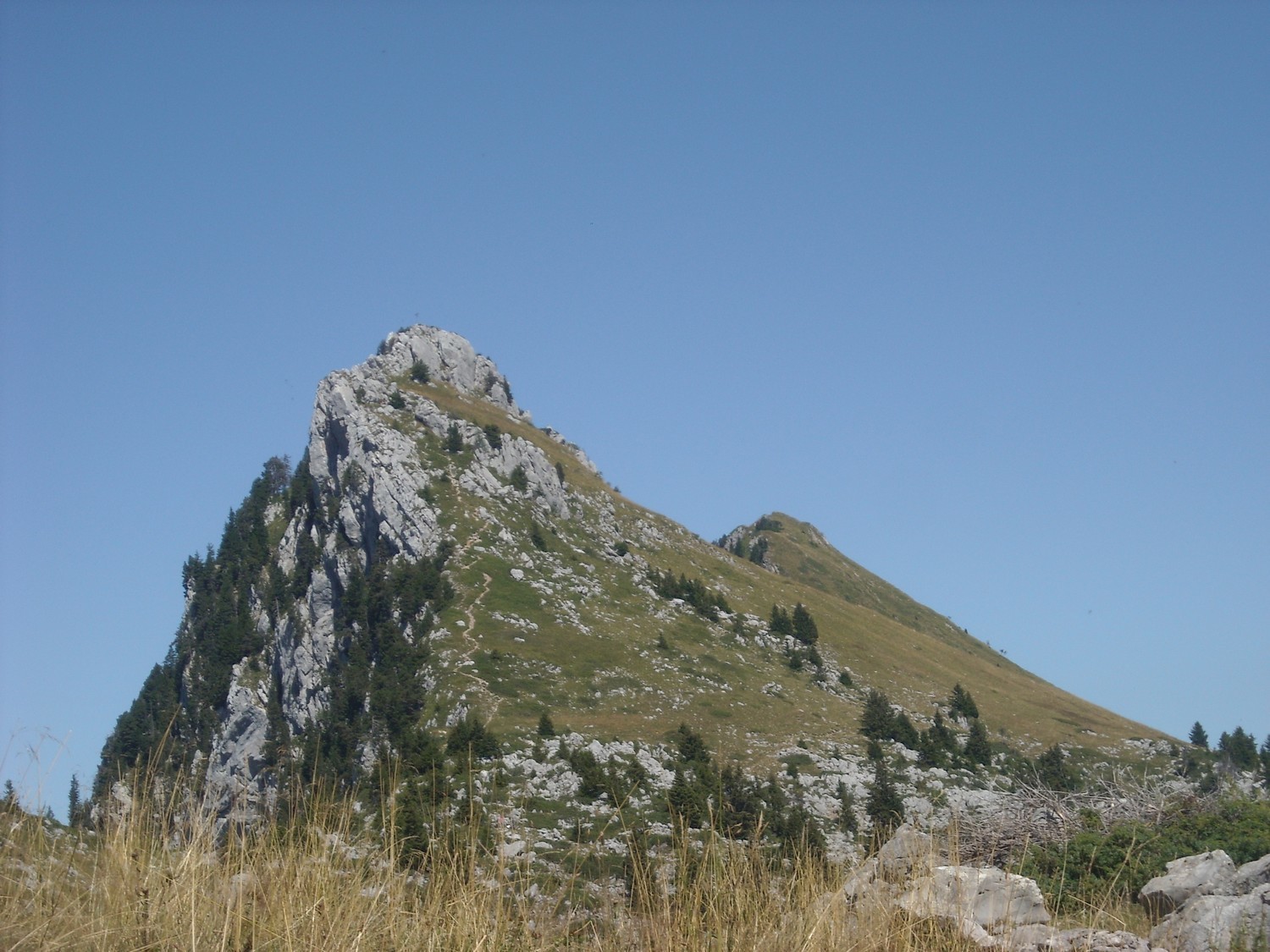 Pointe de Puvat (vue prise entre la Buffaz et l'Ovine).