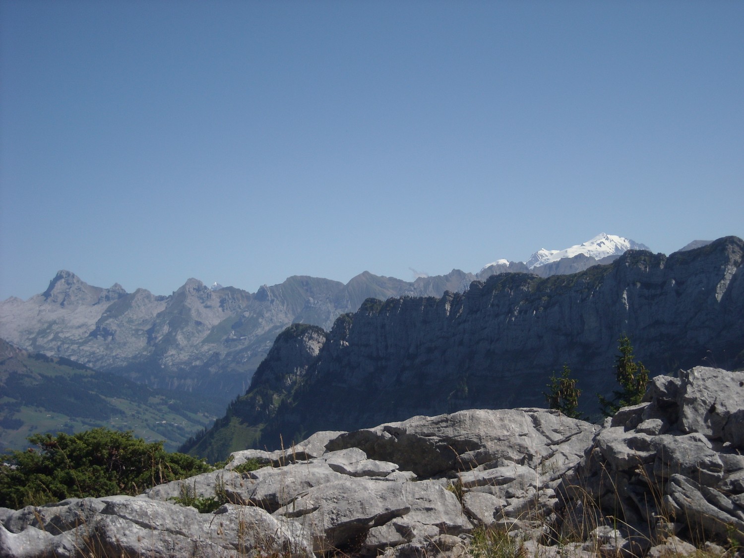 Les Aravis et le Mont-Blanc (vue prise entre la Buffaz et l'Ovine).