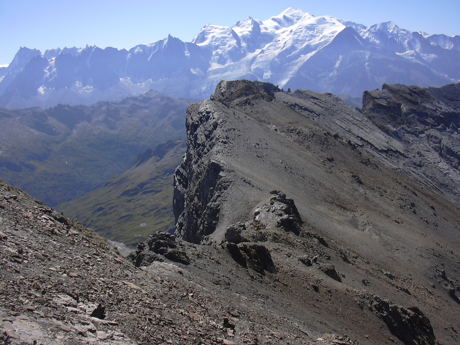 Le col