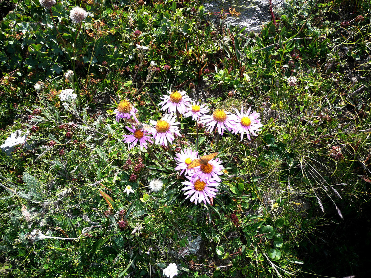 Val Clavalité (Aoste)