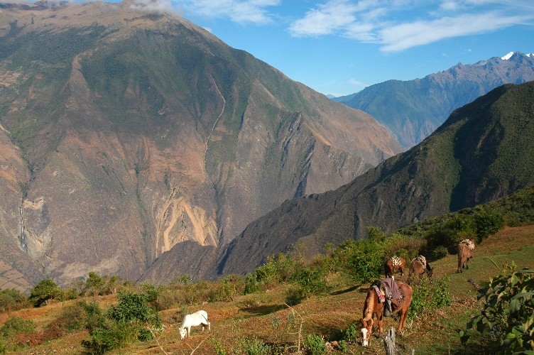 Bivouac Santa Teresa