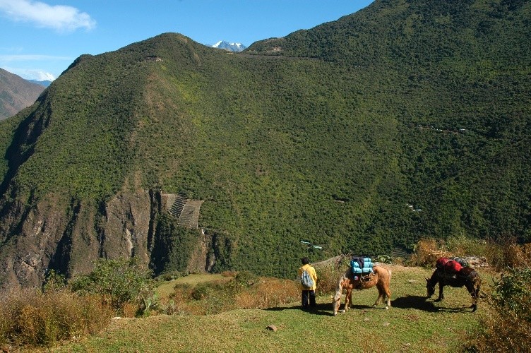 Les mules, le muletier Juan, à Marampata