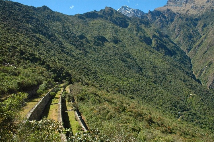 Terrasses du site inca de Choquequiraw