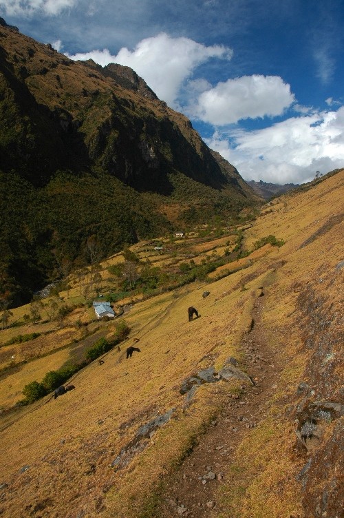 Vallée de Yanama