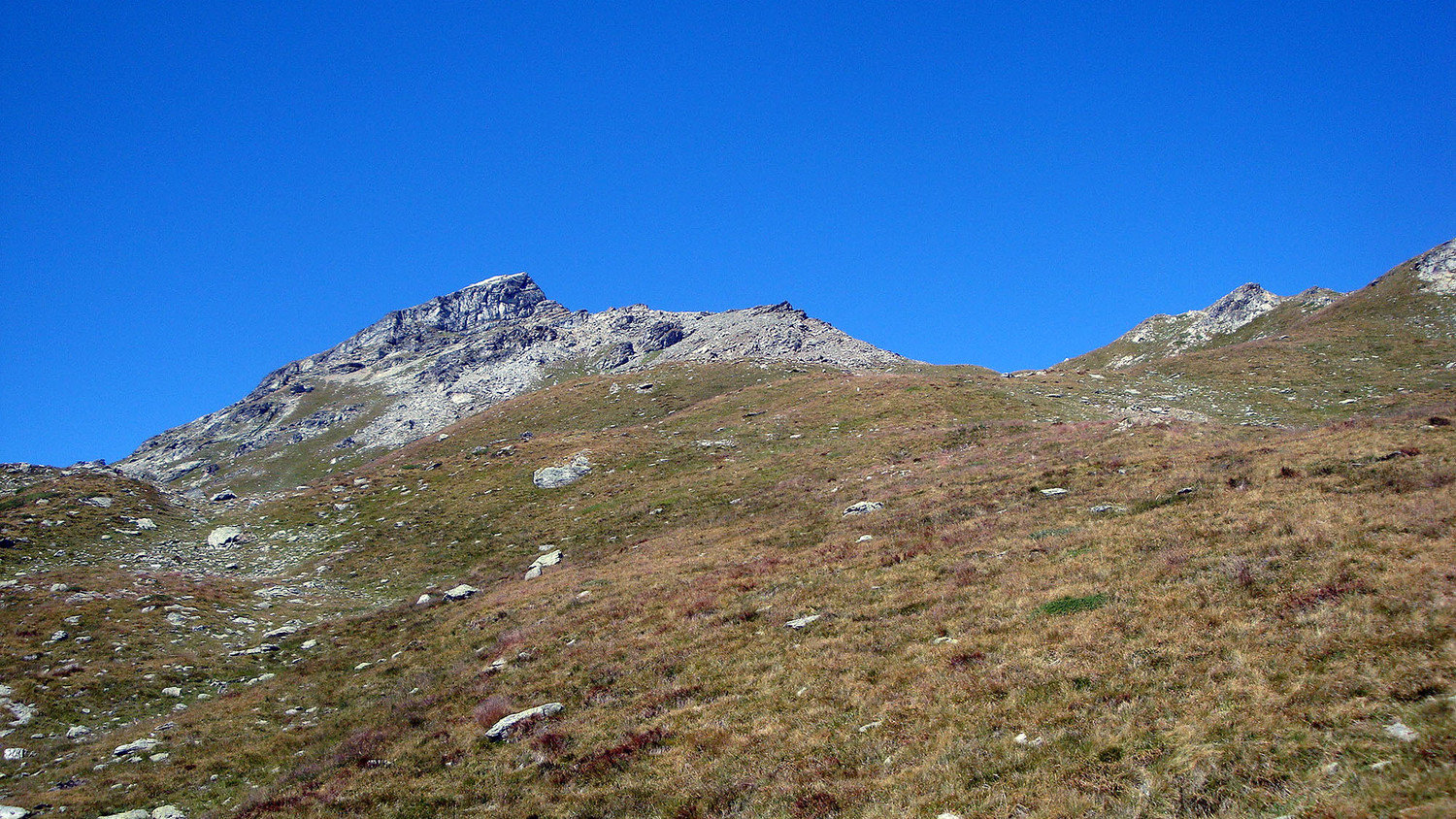Schwarzhorn