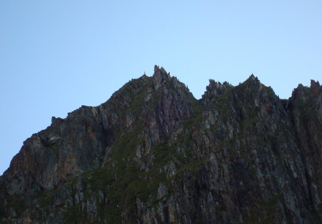 Chamois sur les crêtes à droite
