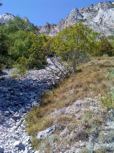 L'ebouli qui descend depuis le sommet d'Anais