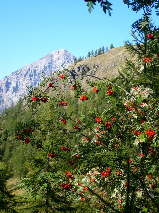 Mont Chaberton