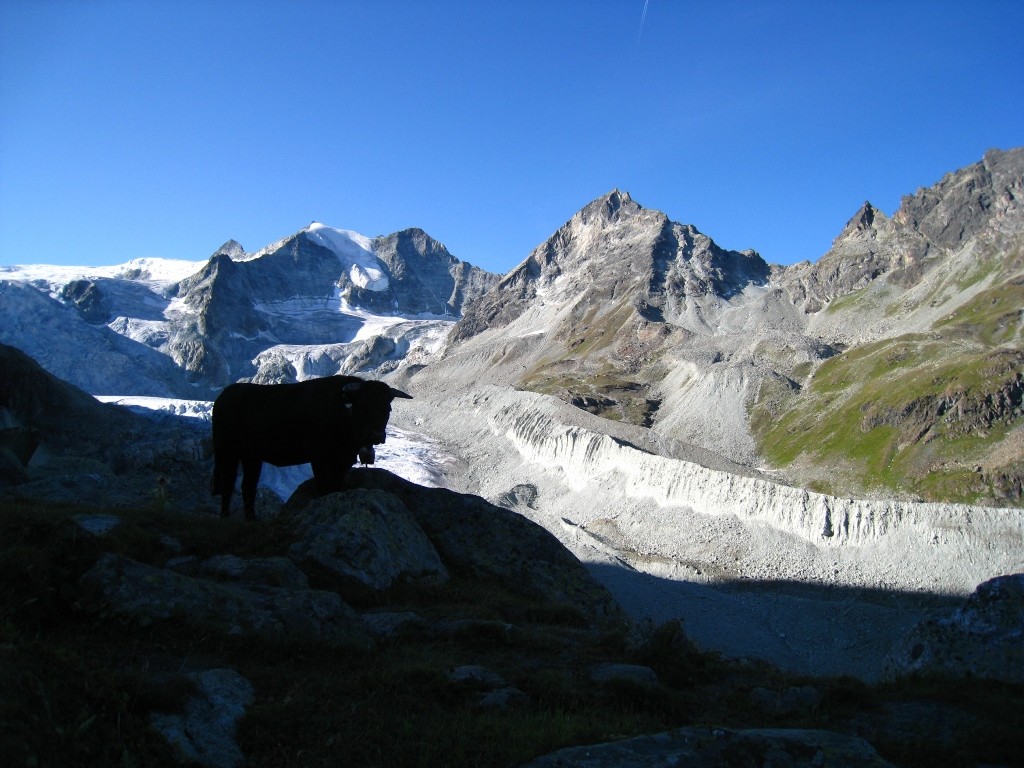 Paysage Valaisan typique... ne manque que le mazot!