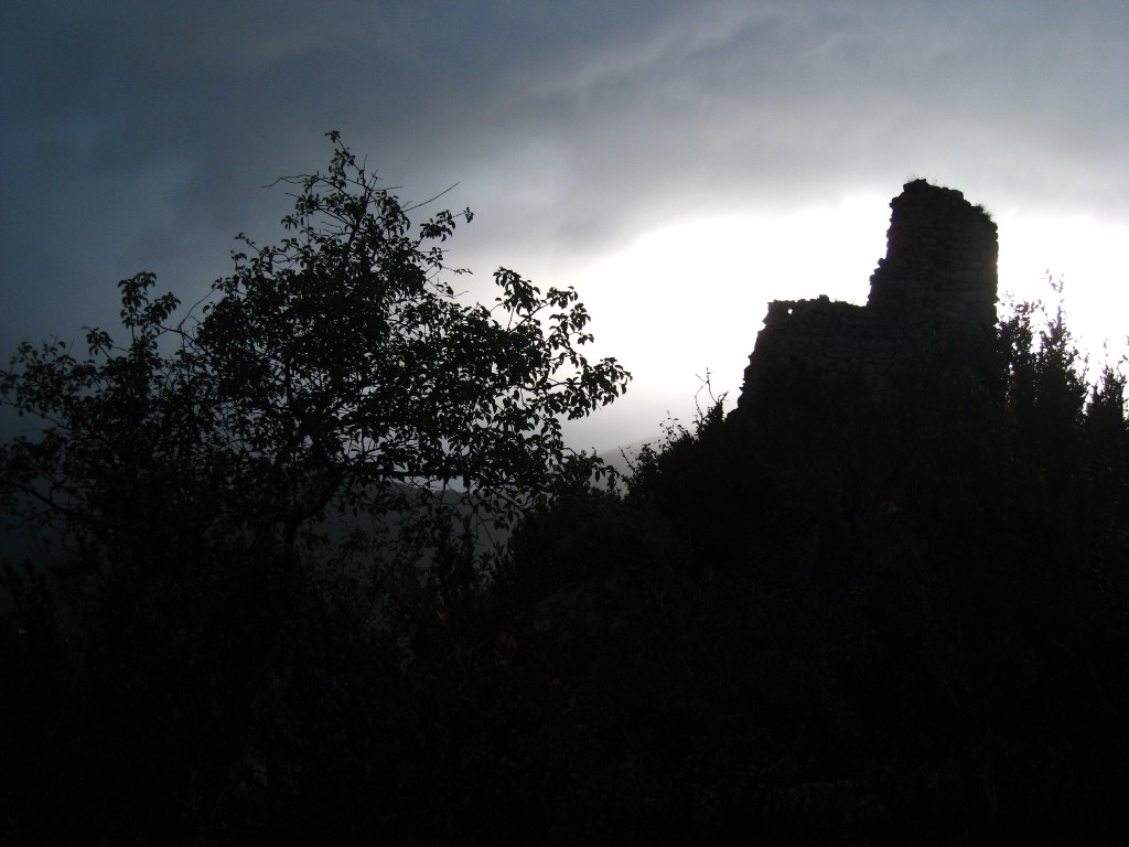 Le Chateau Cathare sur la Crête