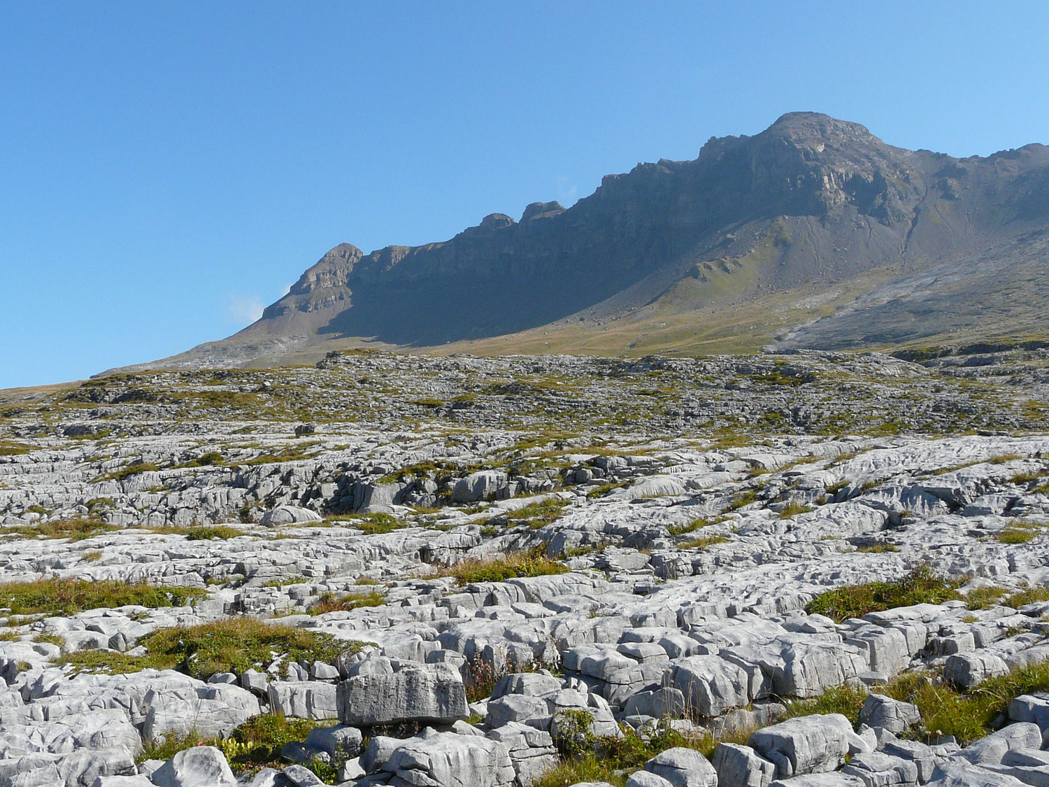Le lapiaz avant les Salamanes, tête à l'Ane à droite et pointe de Chardonnière à gauche