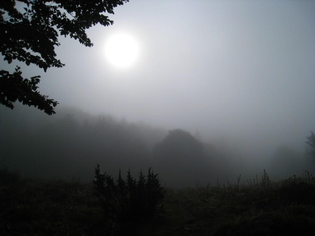 On est sur le point de sortir de la mer de nuages !