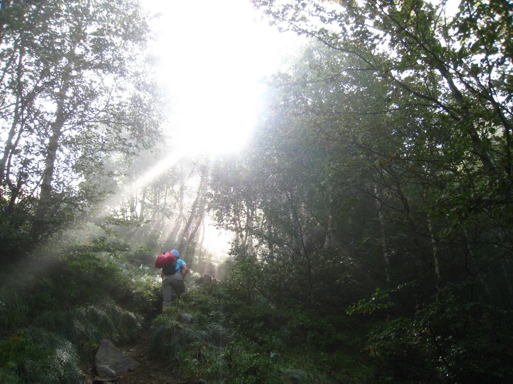 Le soleil joue avec les arbres et mon Etoile!