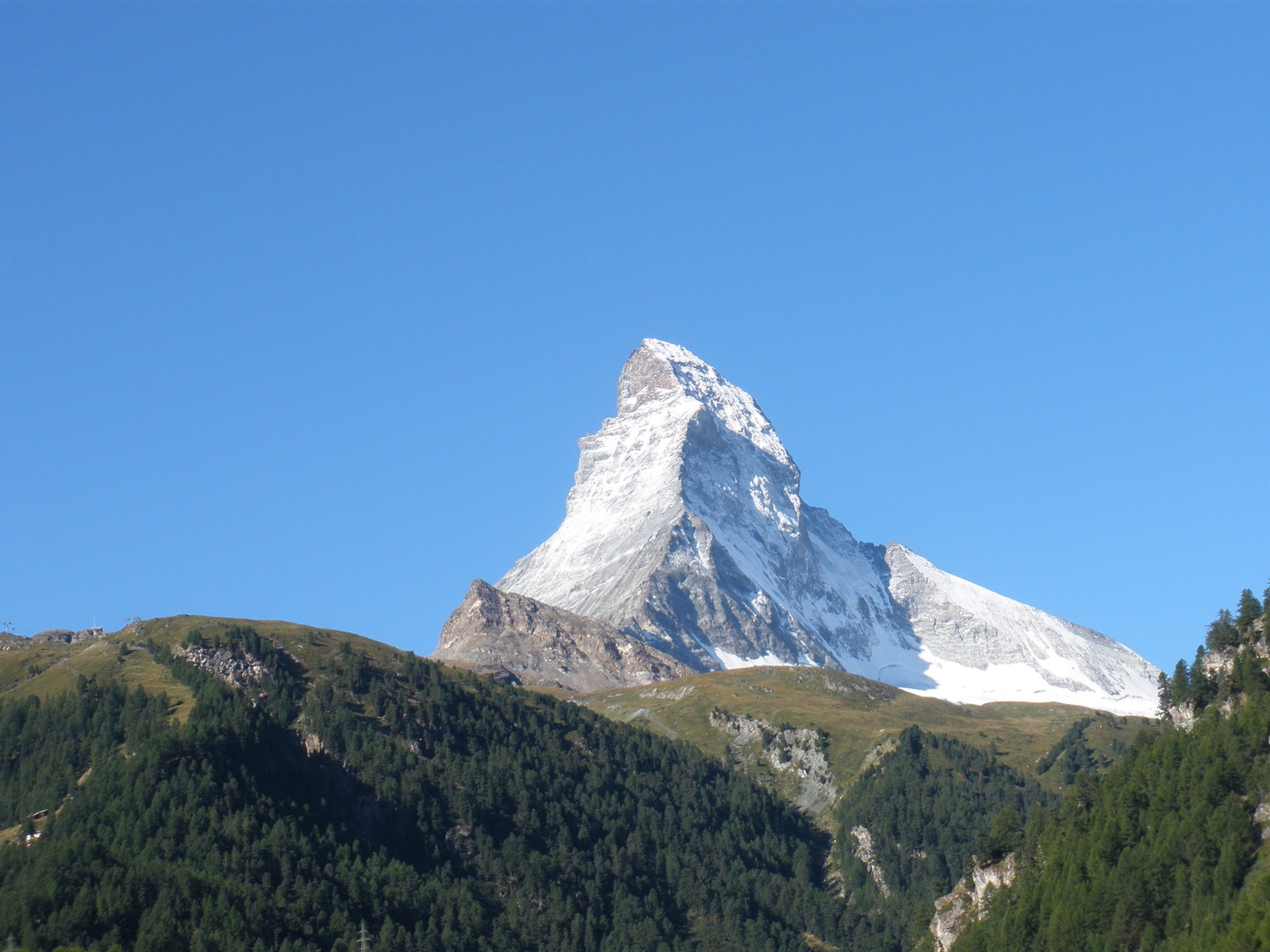 cervin majestueux