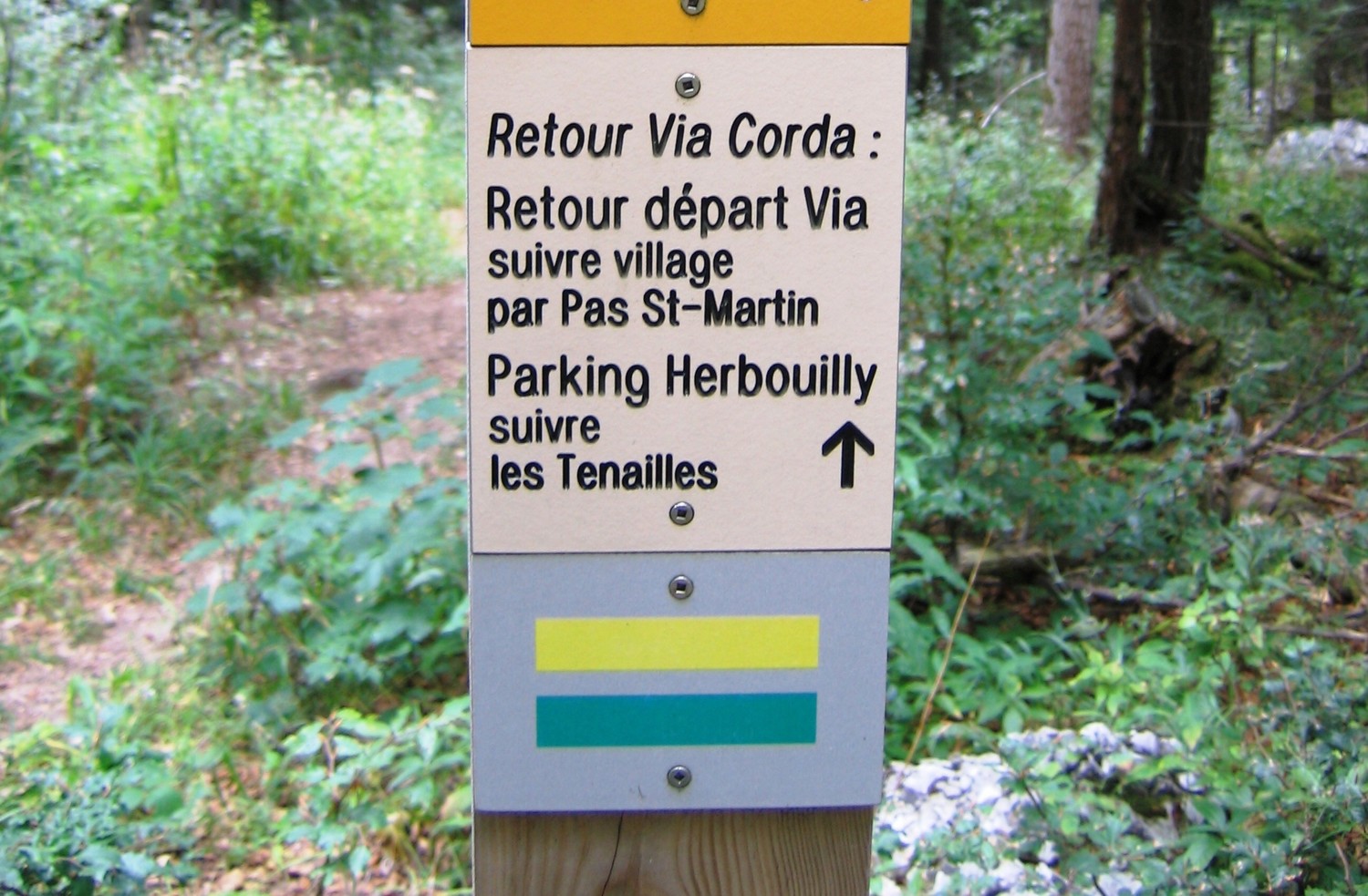 via corda vierge du Vercors