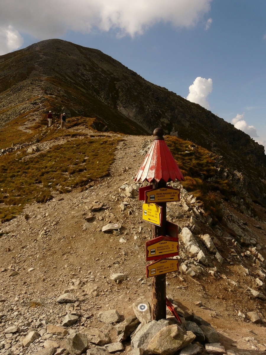 Col Parichvost
