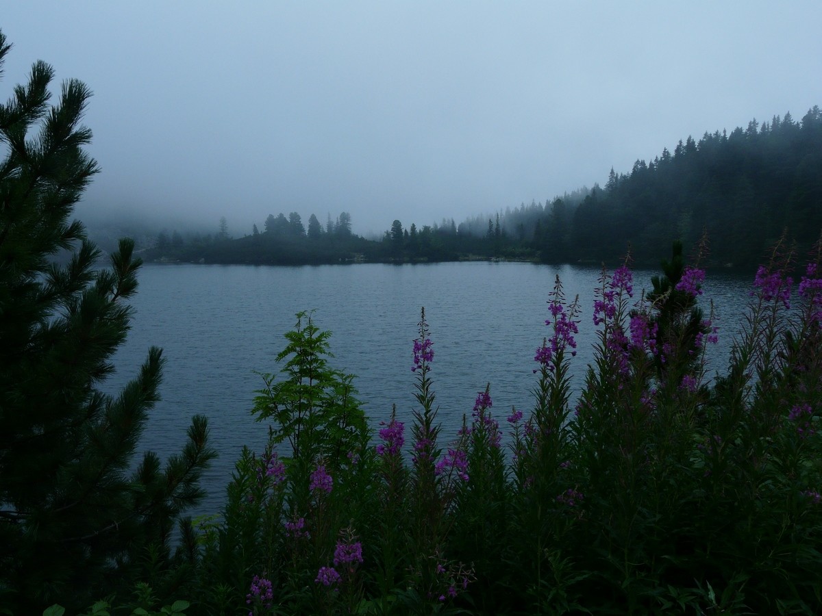 Le lac de Popradské dans le brouillard