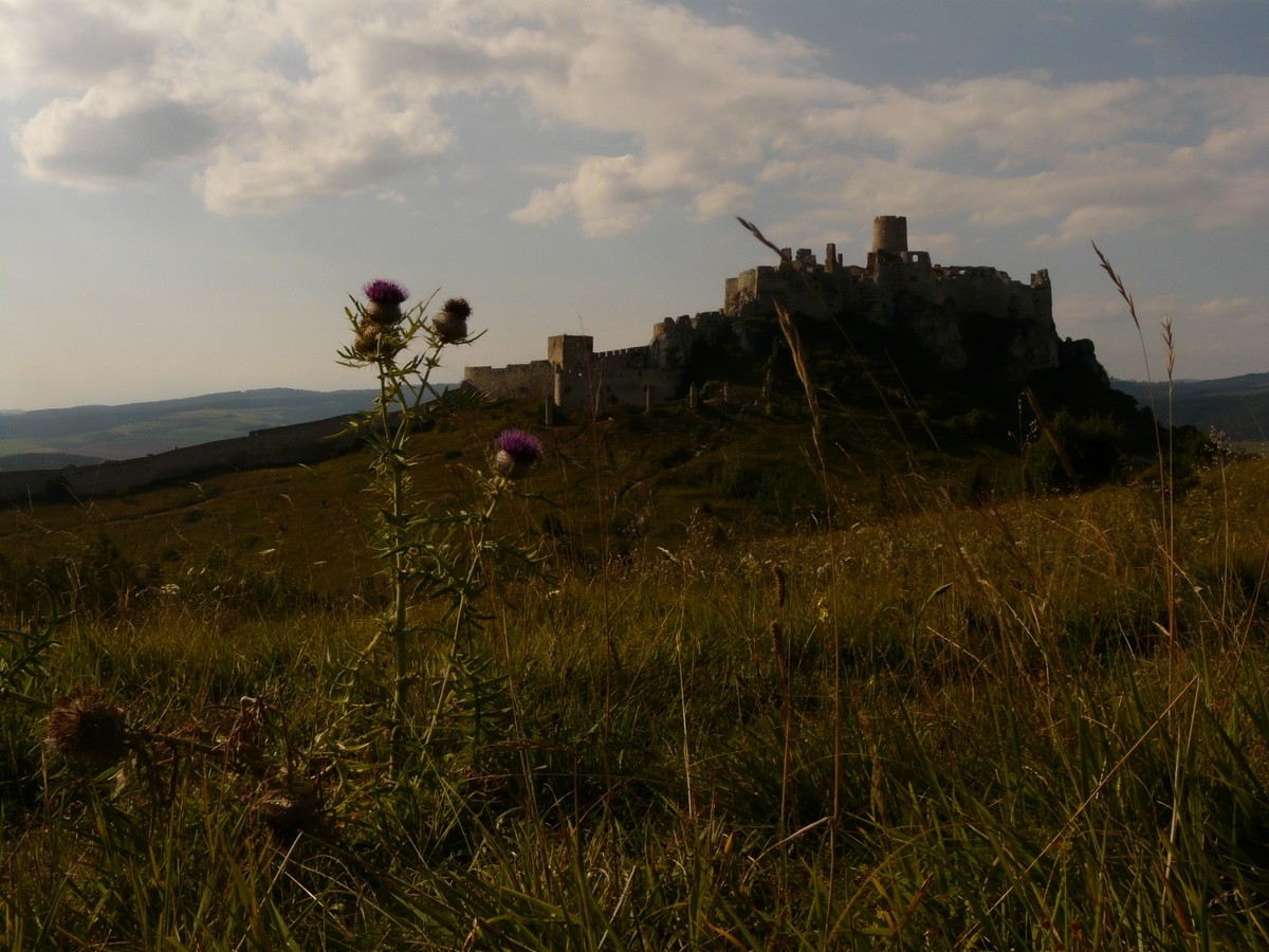 Château de Spiš - versant E