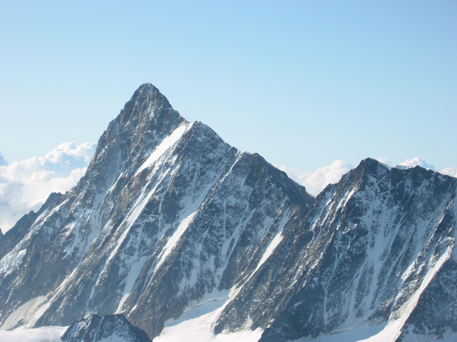 Le majestueux Finsteraarhorn vu depuis le Schreckhorn (vu du N)