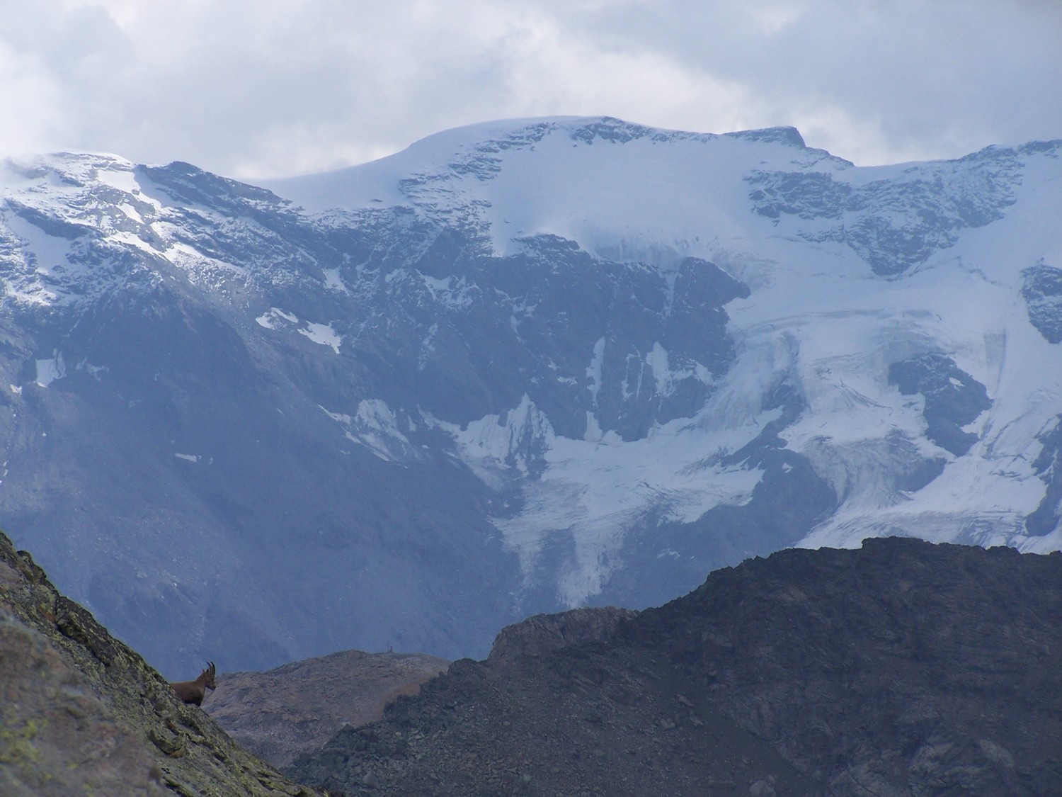 Dômes de la vanoise, et en sentinnelle une étagne, col du borgne