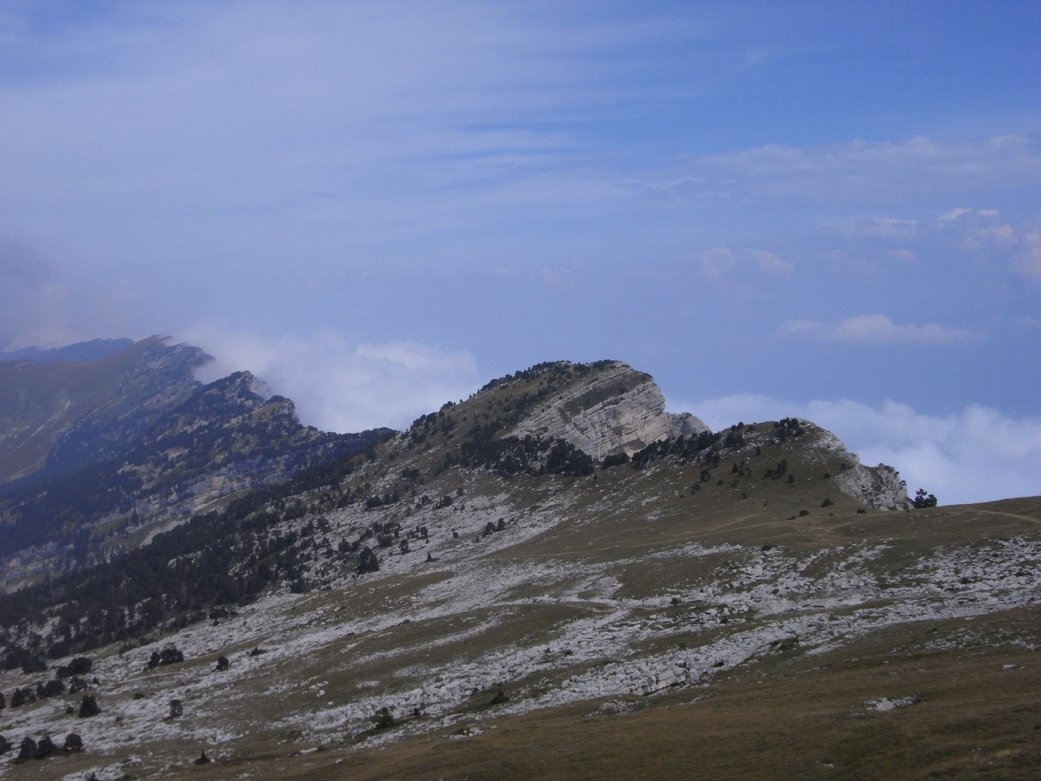 Les plateaux