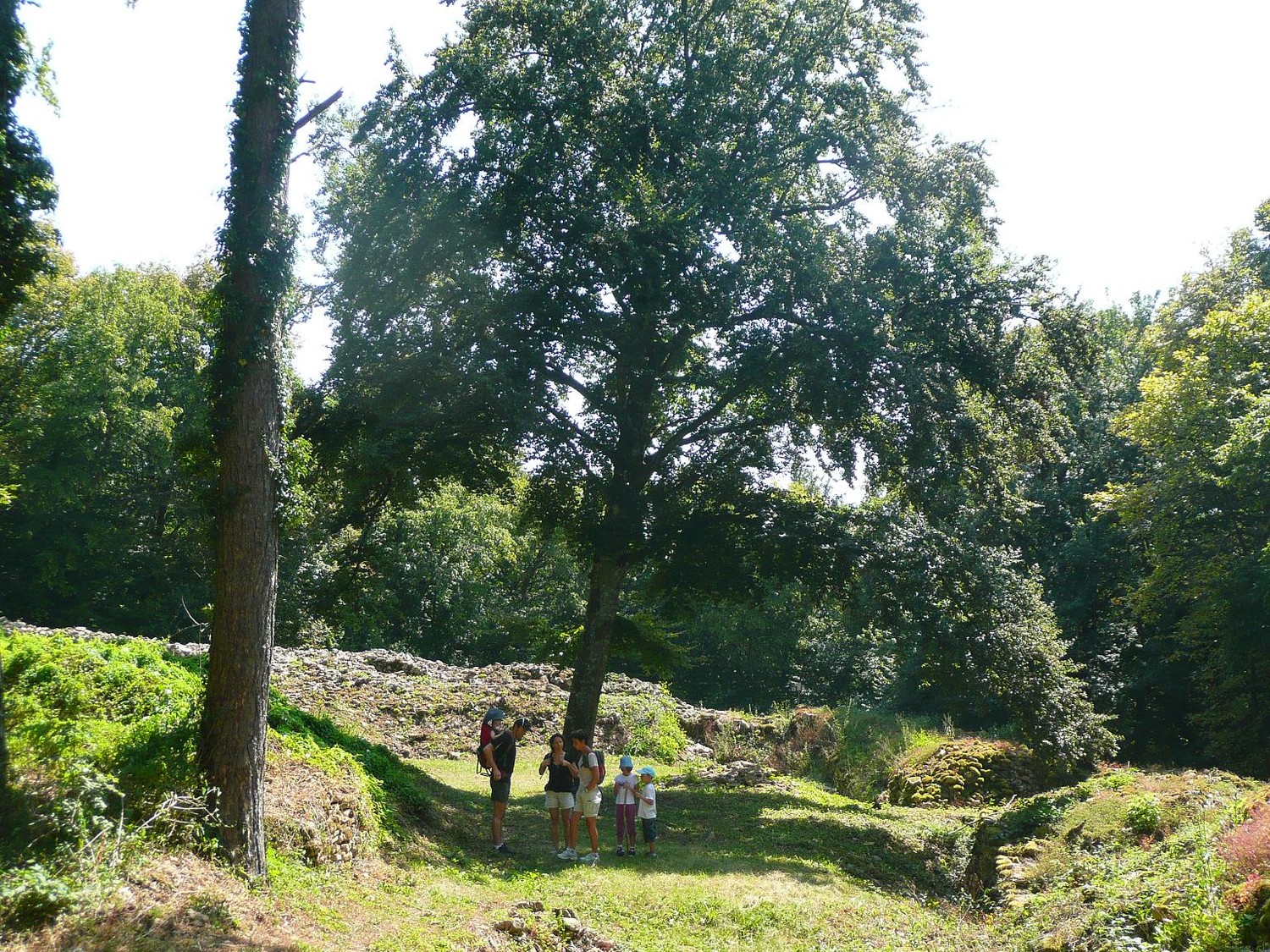 Paysage Champêtre ..
