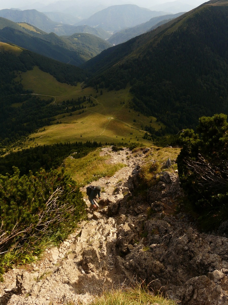 Dans le versant S du Veľký Rozsutec
