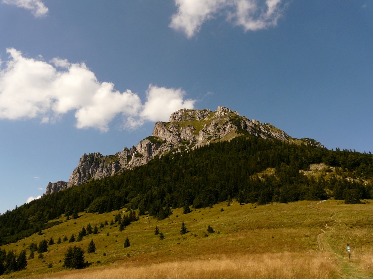 Veľký Rozsutec depuis le col Medziholie