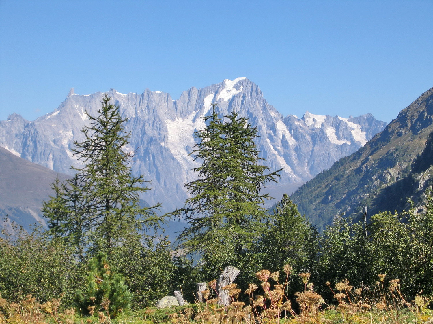les grandes jorasses, du bas de la bella comba