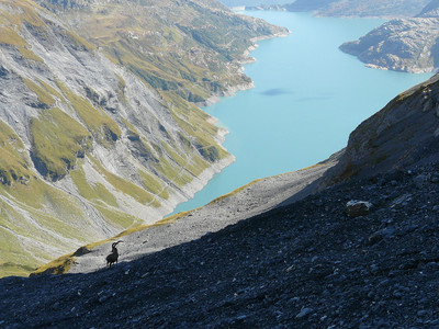 La route et le sentier le long du lac d'Emosson (et un intrus devant) La route et le sentier le long du lac d'Emosson (et un intrus devant)