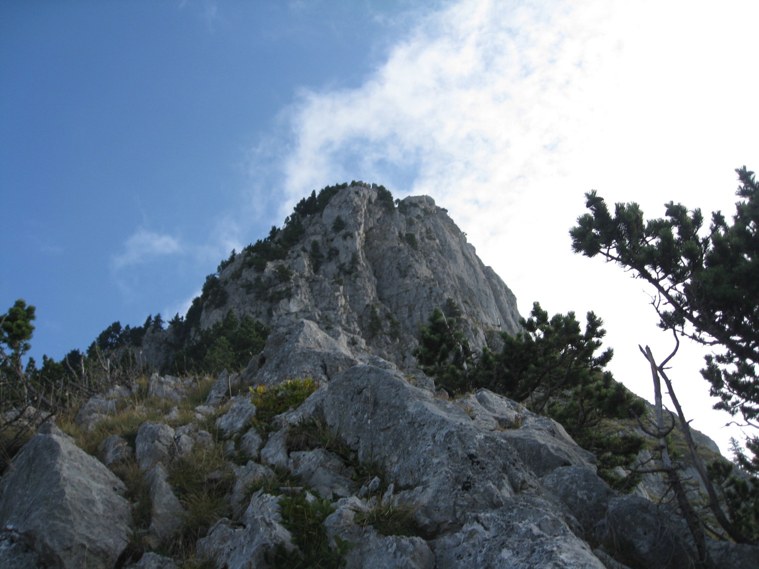 La suite