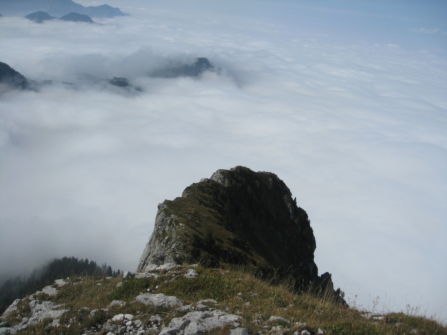 L'arête