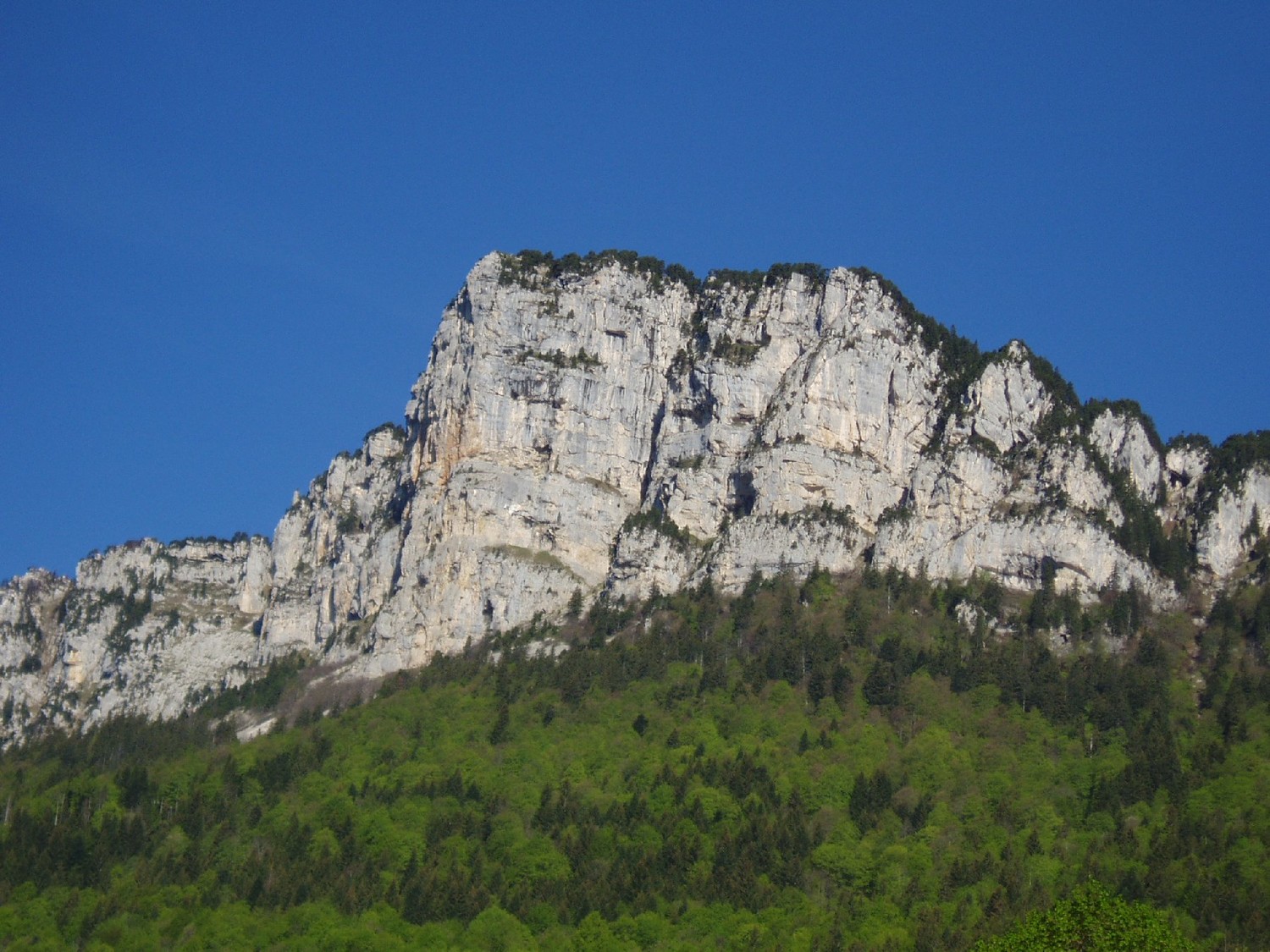 La Rousse