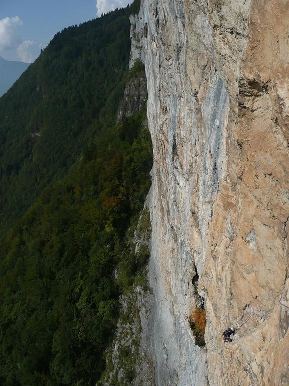 La Maladière : Indiana Jaune (L4)