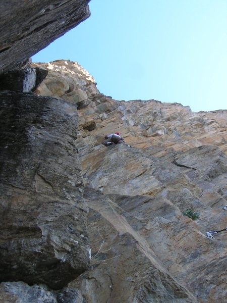 tozal1