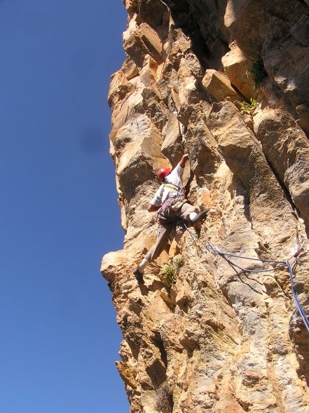 tozal3