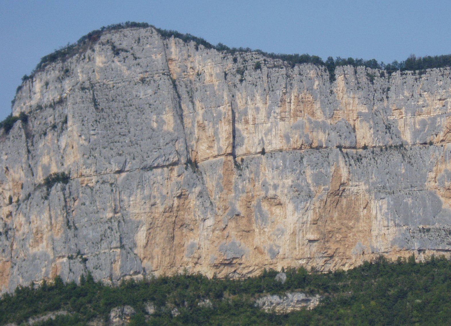 Presles - Buis