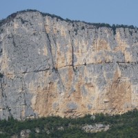 Presles - Buis