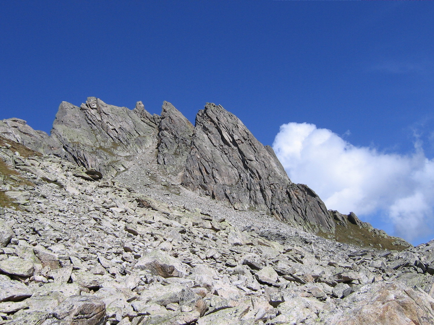 Hochschijen cresta Sud