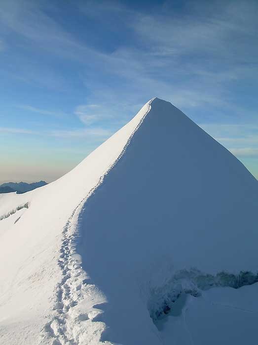 castor