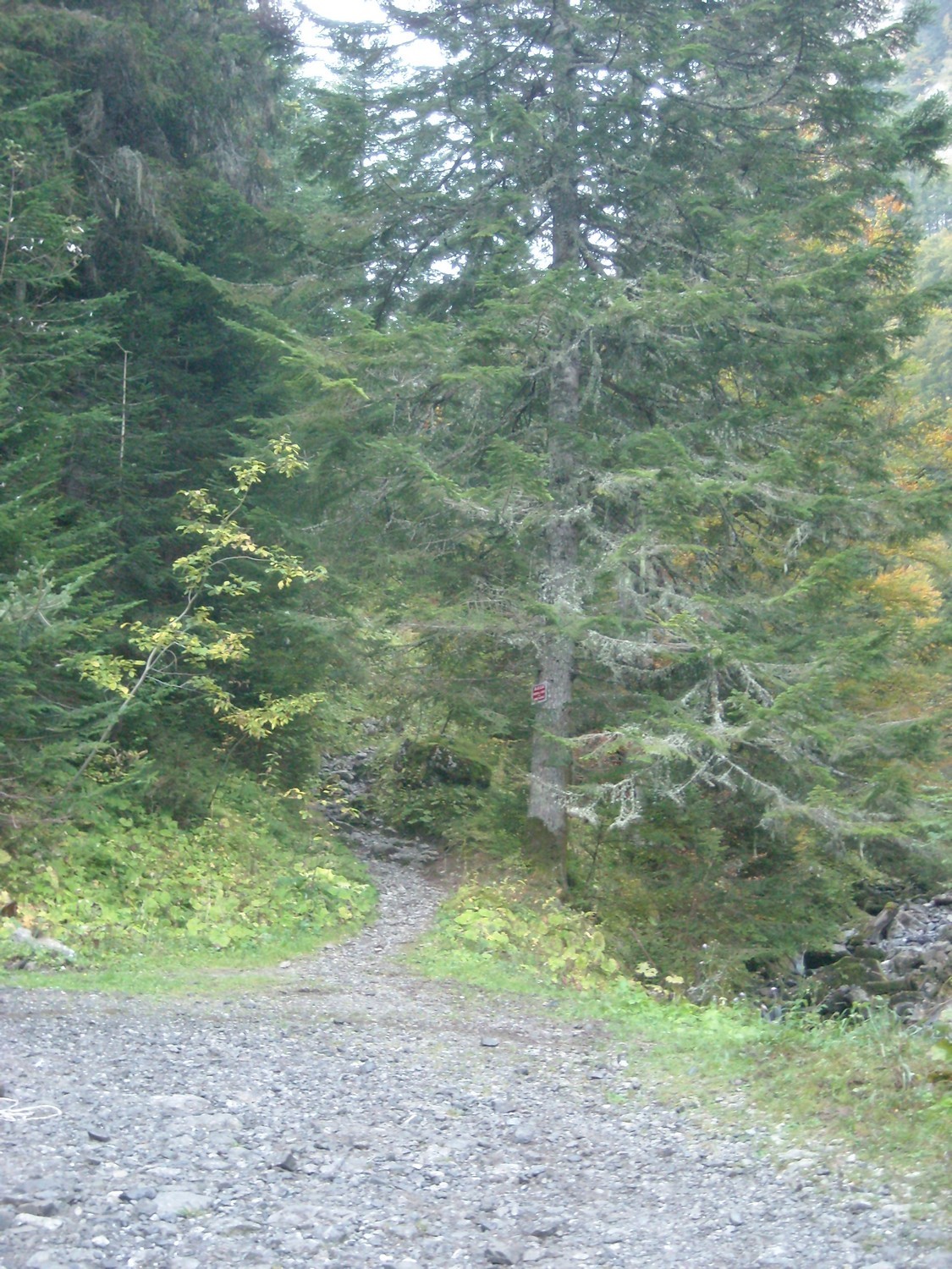 Départ du sentier (première variante).