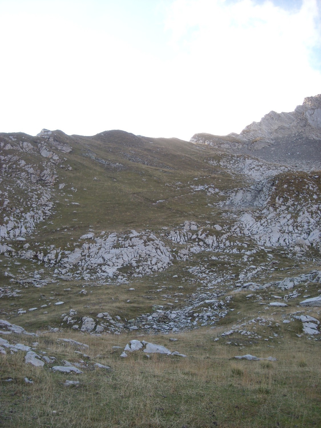 On remonte cette pente herbeuse (sente) ^pour rejoindre l'arête NE.