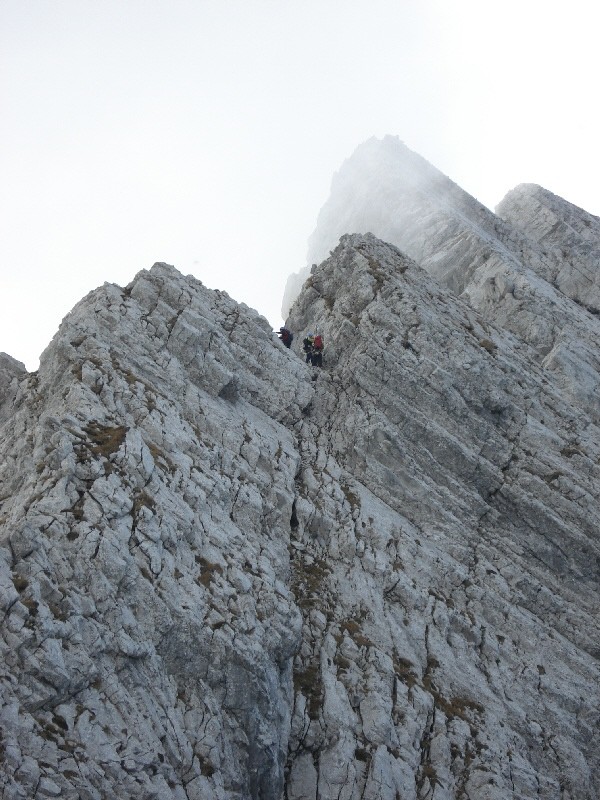 the ridge bis