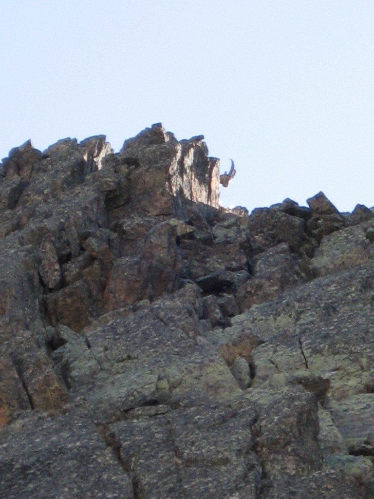 La gardien de l'accès